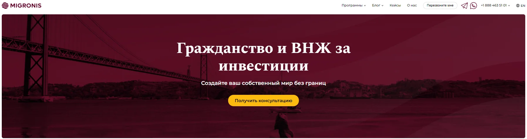 Компания Мигронис: сайт компании