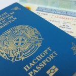 Гражданство Кыргызстана